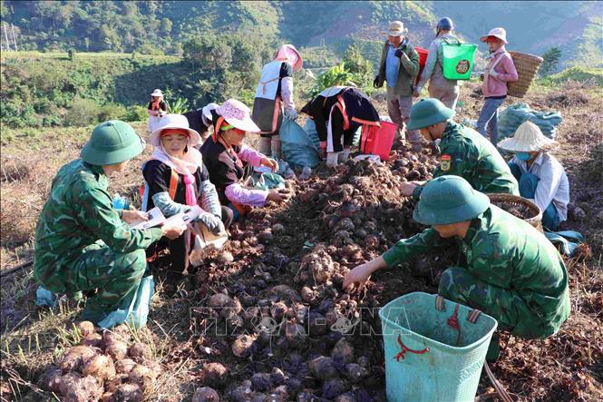 Cán bộ, chiến sĩ Đồn Biên phòng cửa khẩu Ma Lù Thàng (Lai Châu) đến tận nương hướng dẫn người dân kỹ năng số tại bản Hùng Pèng, xã Phong Thổ. Ảnh: Nguyễn Oanh - TTXVN